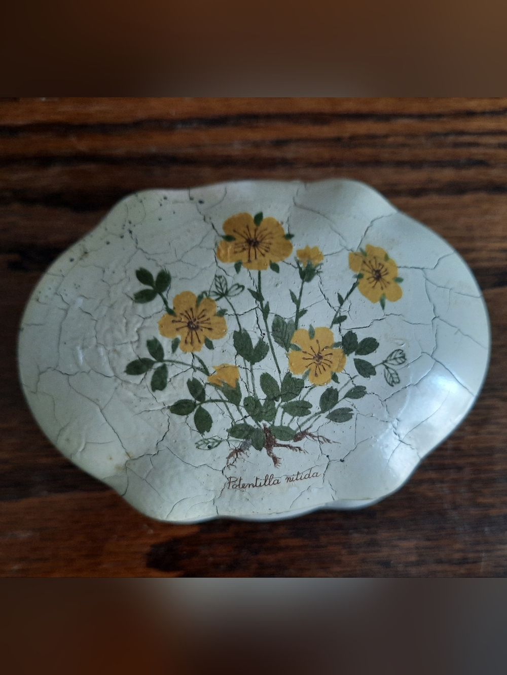 Hand-Painted Yellow Flower Trinket Box Made In Italy ~ Potenilla nitida